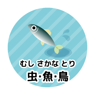 虫（むし）・魚（さかな）・鳥（とり）
