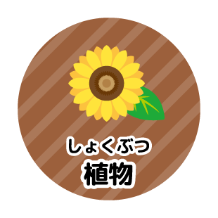 植物（しょくぶつ）